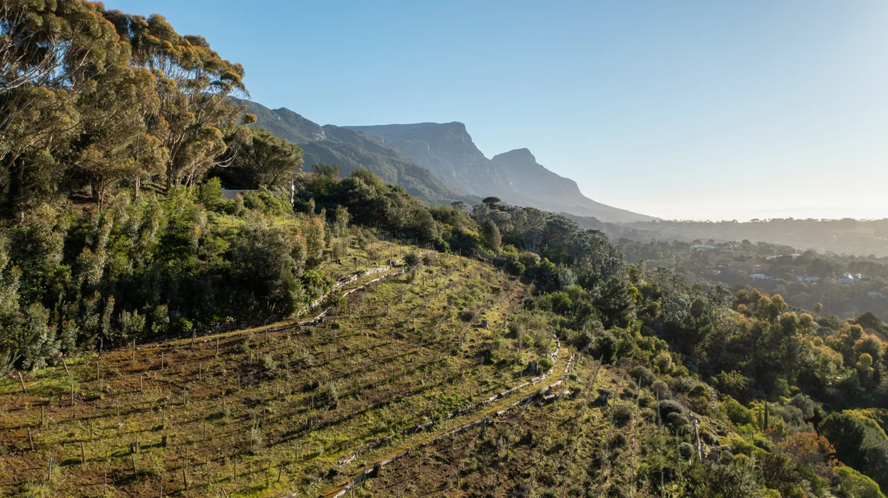 Real photograph of vegetation, hillside and the surrounding mountain landscape.